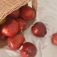 Táo 🍎