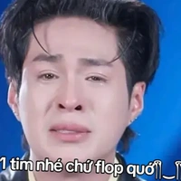 Đỗ Nhật Trường