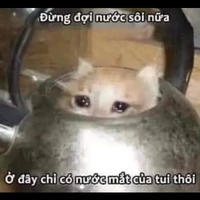 Hạ Sơ Nguyệt