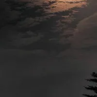Nie°