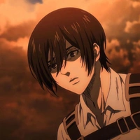 Mikasa.