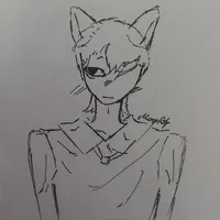 mèo đã đến