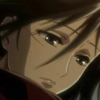 mikasa