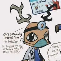 dr.harlow