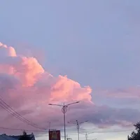 t/g