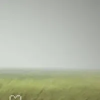 ？？？