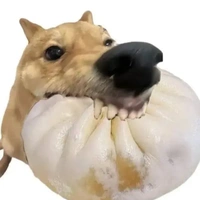 t/g