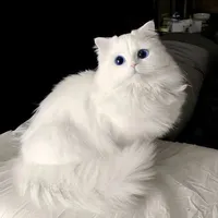 Nana