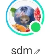 SDM