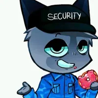 security 👍