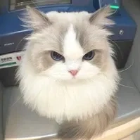 m8mi