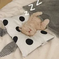 zuyyy