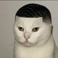 tg [ l ❤ GL ]