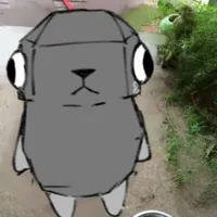 Chó