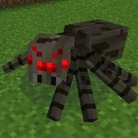 spider 🕷