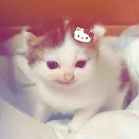 tg nì mắ=))