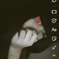 Tác giả ngôn lù