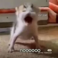 tác giả