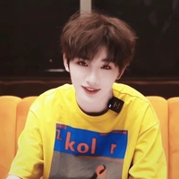 Đinh Trình Hâm 