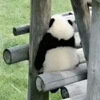 Tác giả