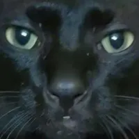 Bác Sĩ.