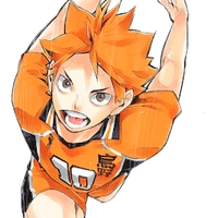 𝗛𝗶𝗻𝗮𝘁𝗮 𝗦𝗵𝗼𝘆𝗼
