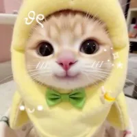 T/G