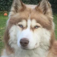 Judy [ Cam ]