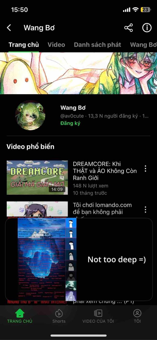 NovelToon