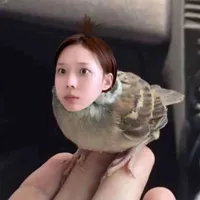 tg