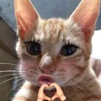 t/g