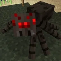spider