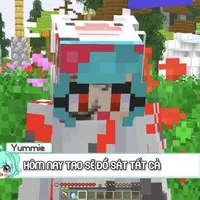 Yum13