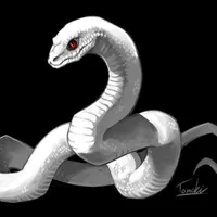 Kohaku (琥珀)