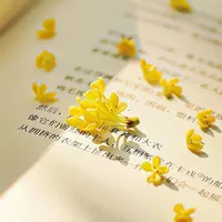 mọi người