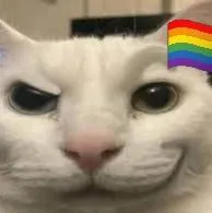 Male Y/N