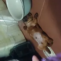 . . .