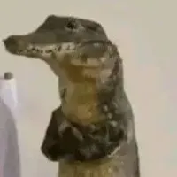 Tác giả