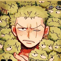 zoronoa zoro