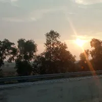 tggggg