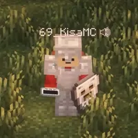 𝑲𝒊𝒔𝒂