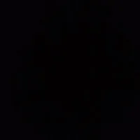 All bot