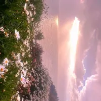 toàn thể nv