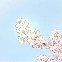 Nhân vật tổng hợp