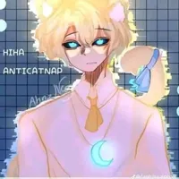 hiha anti catnap