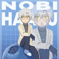Nobi Haaru