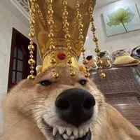 Bố mày mất não