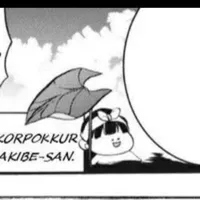 Korpokkur Akibe
