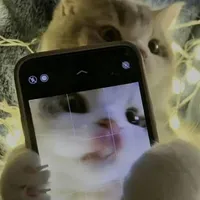 pn