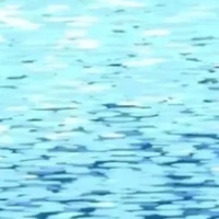 cân mọi loại vai